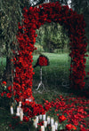 The Enchantress Proposal Package - Toronto Proposal Package