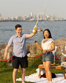  Proposal Picnic Experience - Toronto Proposal Company