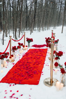  The Snow-Kissed Proposal Package - Toronto Engagement Decor and Photoshoot